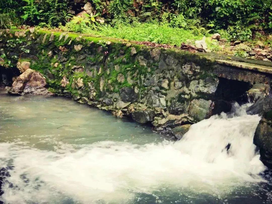 沪江开心词场