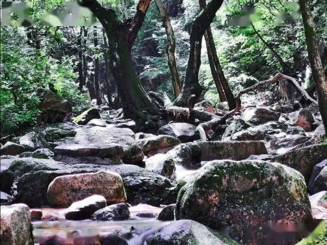 全民烧脑3去广告版