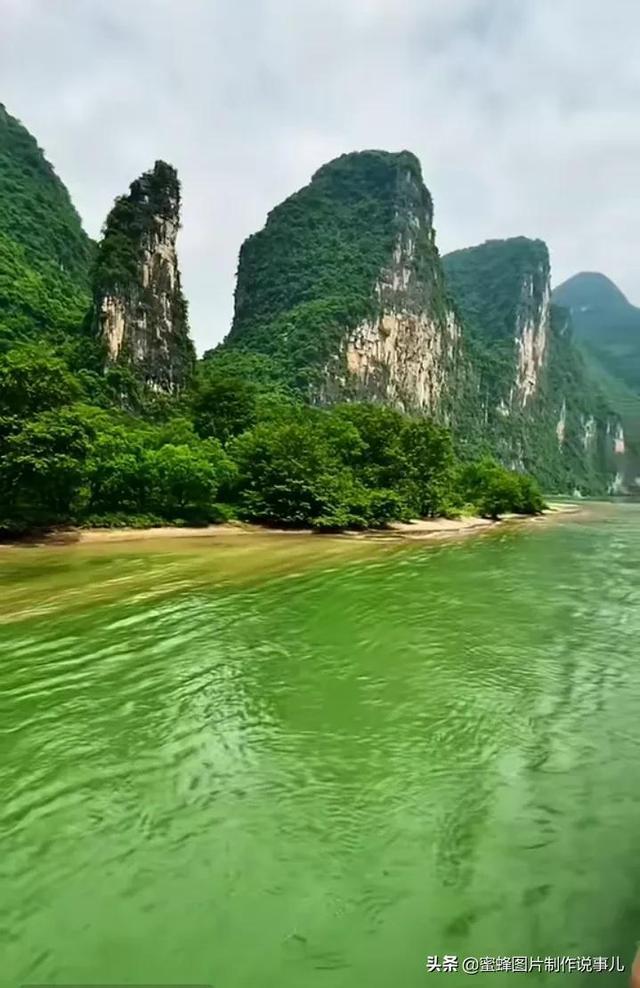 同样违规倒车,鹿晗停车大骂司机和私生,最后举动更是让网友感动