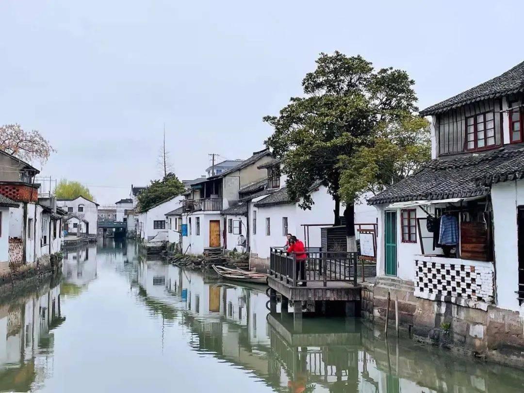 漂亮鹦鹉救援